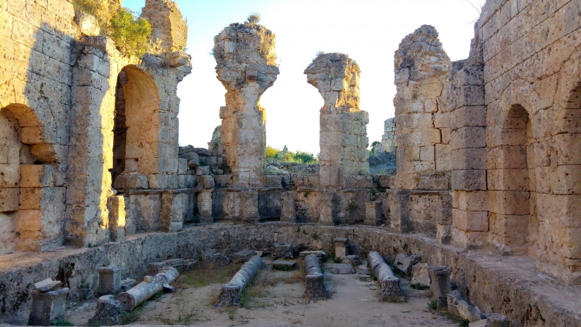 Perga