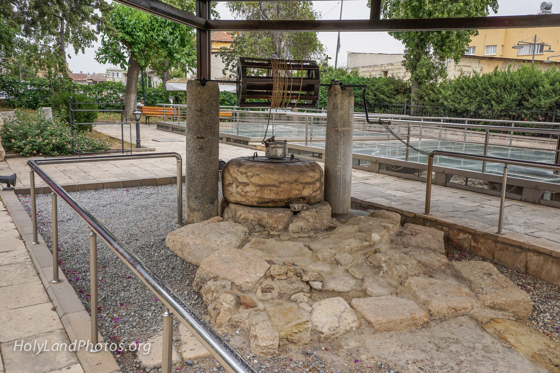 Tarsus